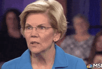 Elizabeth Warren Msnbc GIF