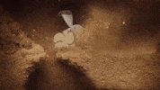 Bunny Digging GIF by Pokémon