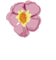 Flowermarket Sticker by Obus