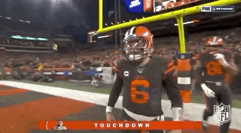 2019 Nfl Football GIF by NFL