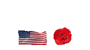 Memorial Day Thank You Sticker by Vinnie Camilleri