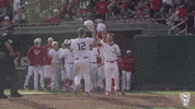 debo nc state GIF by NC State Athletics