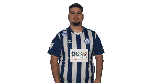 Fc Magdeburg Yes Sticker by Bundesliga