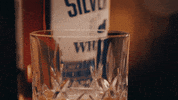 SilverbellyWhiskey whiskey alan jackson silverbelly silverbelly whiskey GIF
