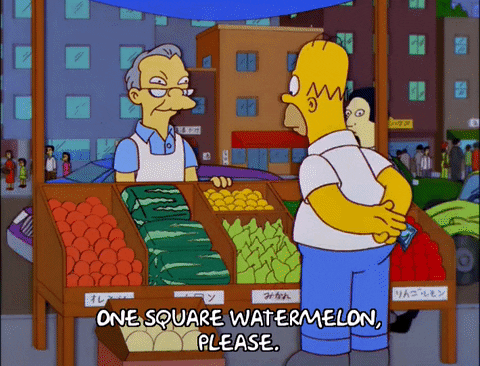 homer simpson episode 23 GIF