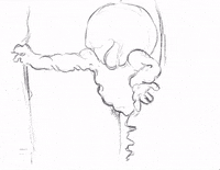 Studio Mill GIF by Alex Boya