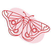 FadaUrbana pink coffee red decor Sticker