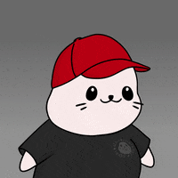 Happy Fun GIF by Sappy Seals Community