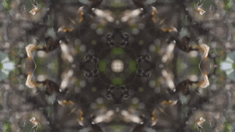 Art Love GIF by jorgemariozuleta