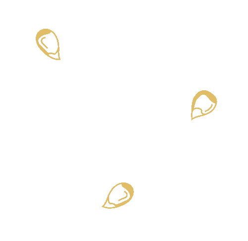 Popcorn Kernels Stickers Find Share On GIPHY popcorn-kernels-stickers-find-share-on-giphy