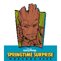Rundisney Sticker by Disney Sports