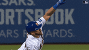 Happy Ny Mets GIF by New York Mets