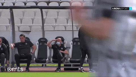 Bes Fkpartizan GIF by sportmts
