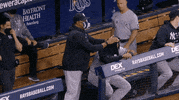 New York Yankees Baseball GIF by Jomboy Media