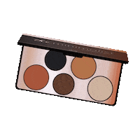 elciecosmetics eyes makeup cosmetics glam Sticker