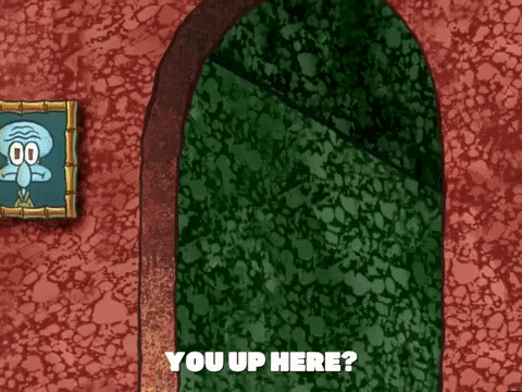 season 6 GIF by SpongeBob SquarePants