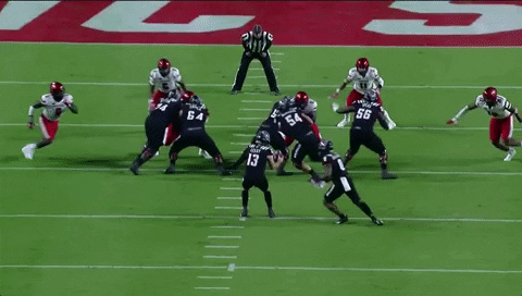 therealessad giphygifgrabber touchdown sumo nc state GIF