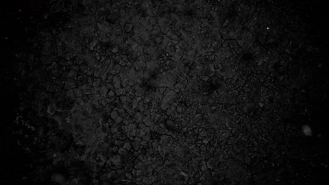 malcombrown63dc giphygifmaker GIF