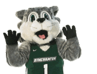 Sunybinghamton Sticker by Binghamton University