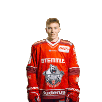 Goal Win Sticker by Eisbären Regensburg