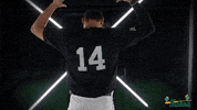 Tulane Rollwave GIF by GreenWave