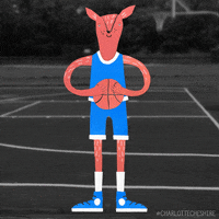 CharlotteCheshire cute basketball animal ball GIF
