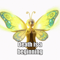 Unity Butterfly GIF by BuddhaFlyJourney