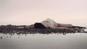 Circle Of Life Dancing GIF by Woodblock