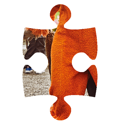 Jamadu Sticker by Coop Hello Family