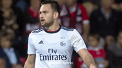 sl benfica slbgifs GIF by Sport Lisboa e Benfica