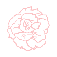 Odacite beauty skincare vegan rose Sticker