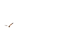 Butterfly Sticker by HostNetDirect