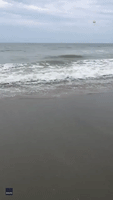 Shark Seen Swimming Within Meters of Shore at North Myrtle Beach