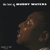 chicago blues GIF by Muddy Waters