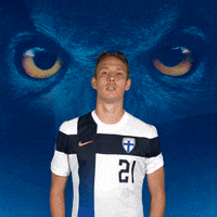 Celebrate Euro Cup GIF by Huuhkajat