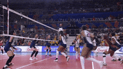Power Joy GIF by Volleyball World