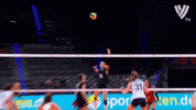 Smash Germany GIF by Volleyball World