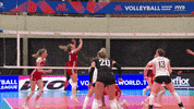 Power Hit GIF by Volleyball World