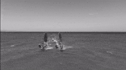 Mach 9 GIF by Severne Windsurfing