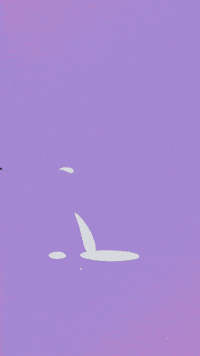 Ssaft GIF