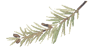 Christmas Tree Sticker