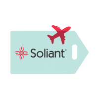 First Class Travel Sticker by Soliant