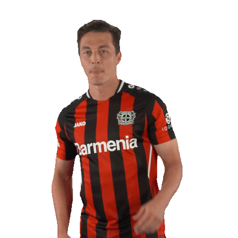 Bayer 04 Yes Sticker by Bayer 04 Leverkusen