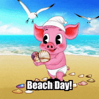 Beach Day GIF by The Pigasso