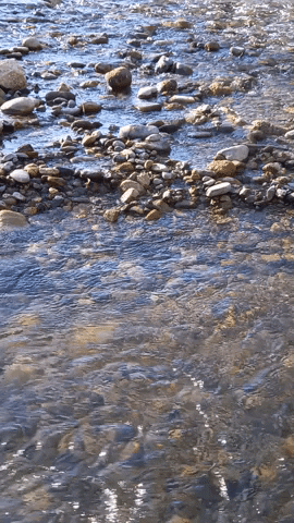 Simongip giphyupload GIF