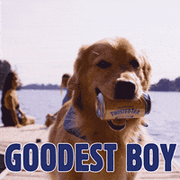 tea party drinking GIF by Twisted Tea