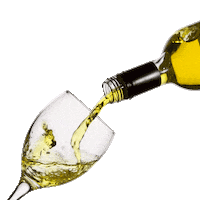 Wine Vienna Sticker by AG WU