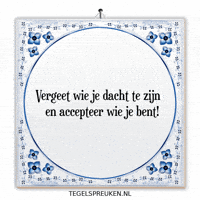Humor Nl GIF by Tegelspreuken.nl