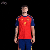 Fifa World Cup Spain GIF by Respective