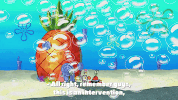 season 10 episode 3 GIF by SpongeBob SquarePants